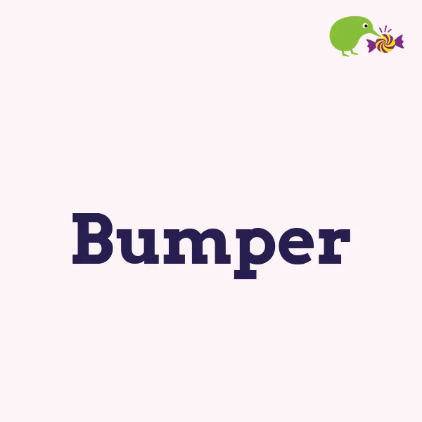 Bumper