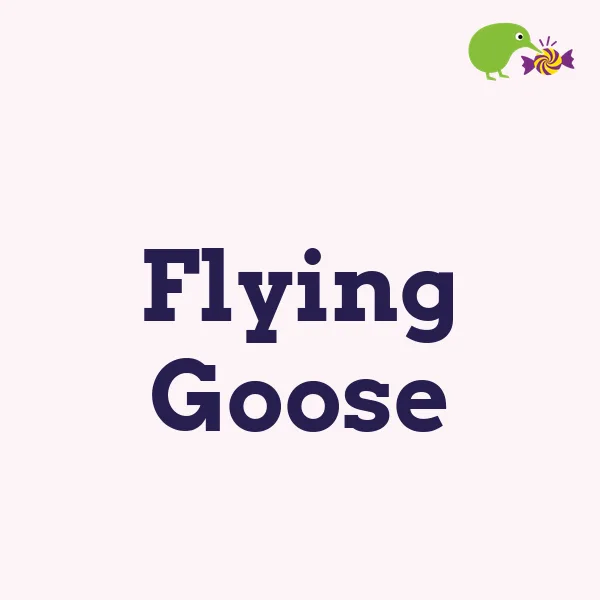 Flying Goose