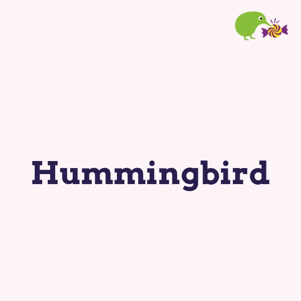 Hummingbird