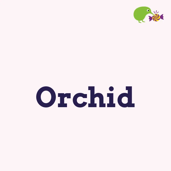 Orchid