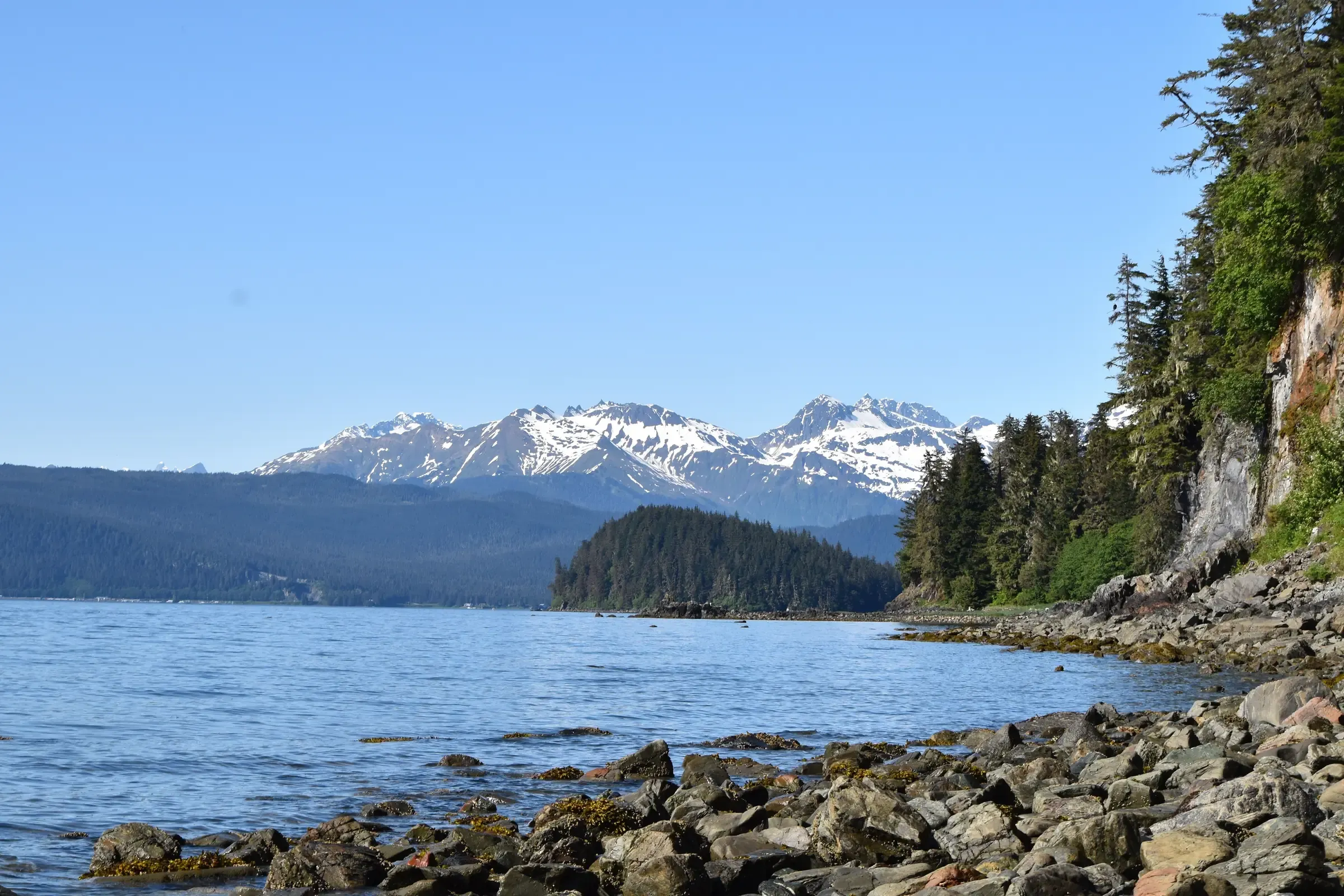 Snow-capped mountains across a calm Alaskan inlet, with forest above a rocky shore