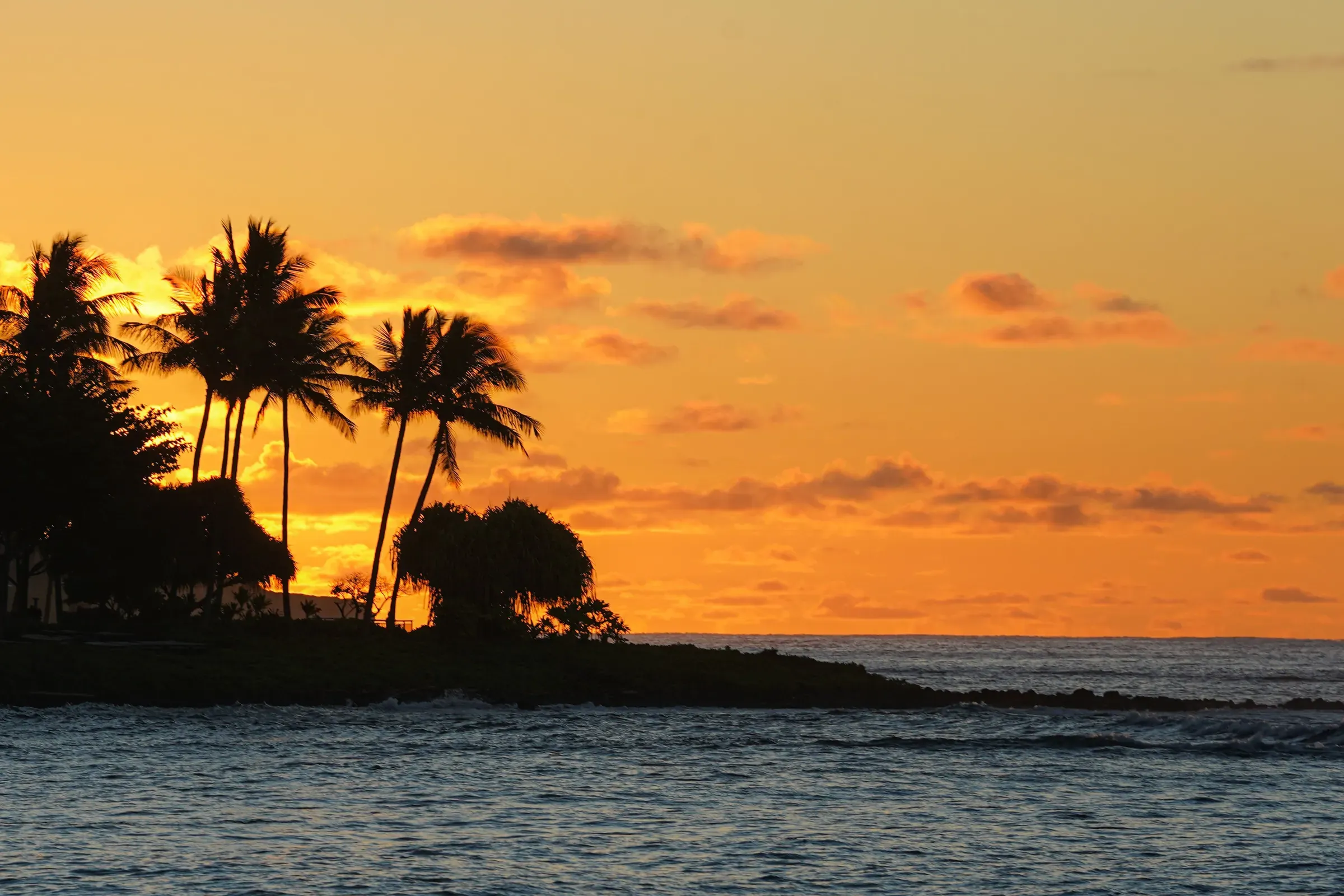 Palm trees silhouetted against an island sunset over the ocean