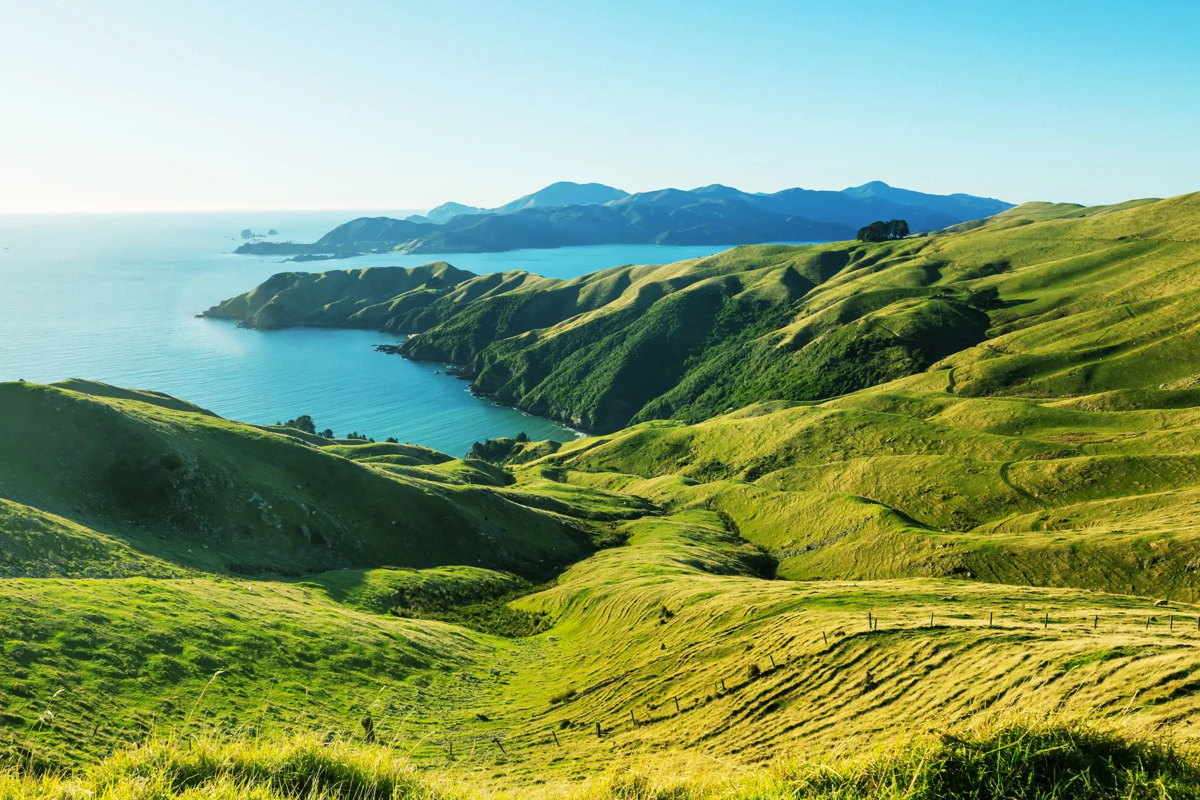 The New Zealand coastline, green hills running down to the sea