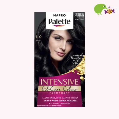 Napro Palette Intensive Black 1-0 Hair Colour